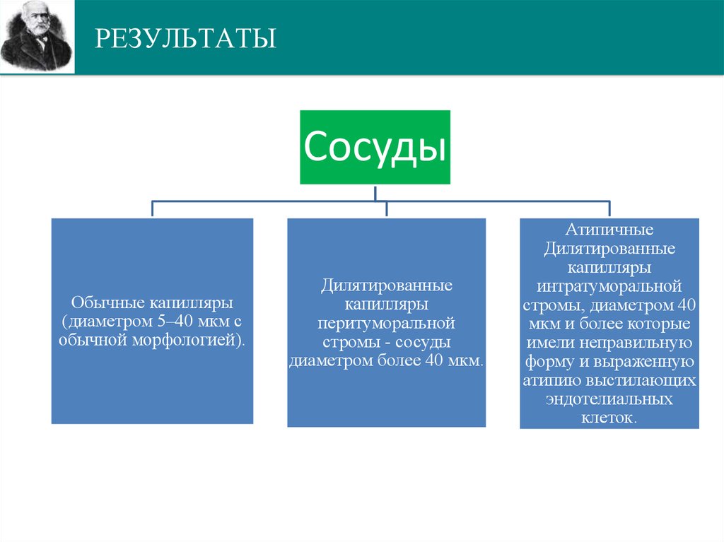 РЕЗУЛЬТАТЫ