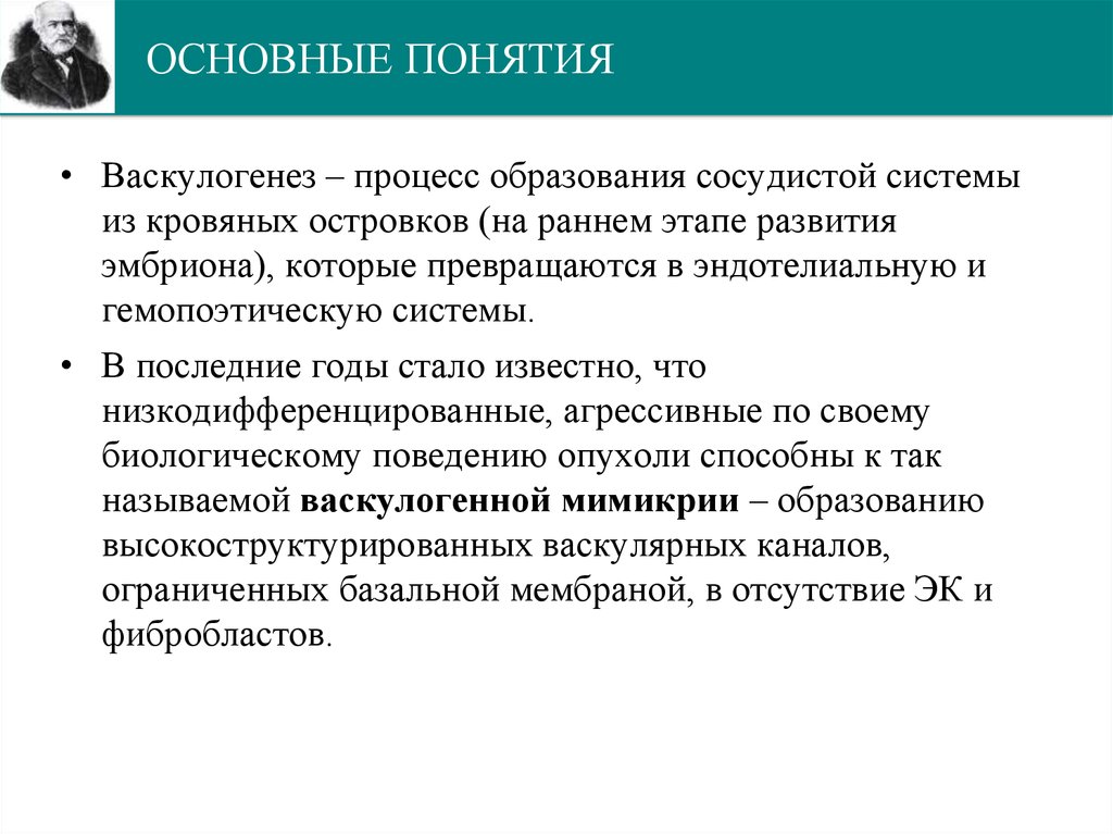 ОСНОВНЫЕ ПОНЯТИЯ