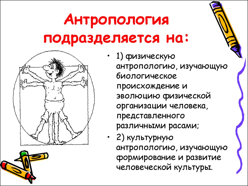 Что такое антропология. Антропология. Антропология это кратко. Физическая антропология изучает. Антропология это наука изучающая.