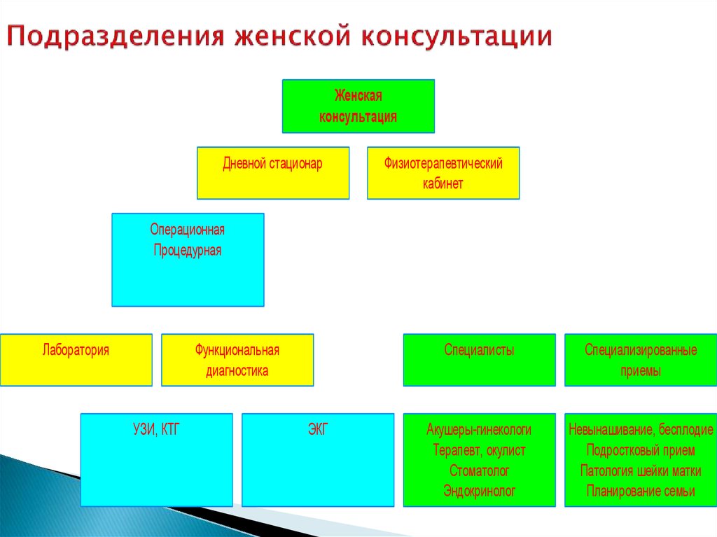 Подразделения женщина