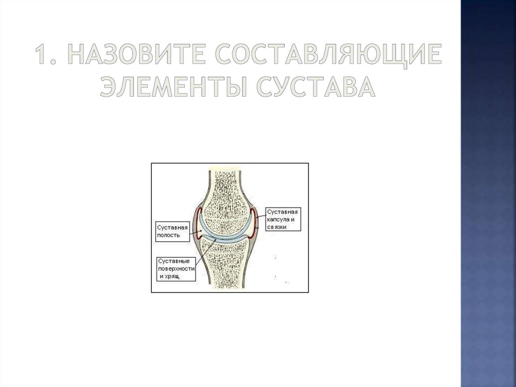 Как называются составляющие