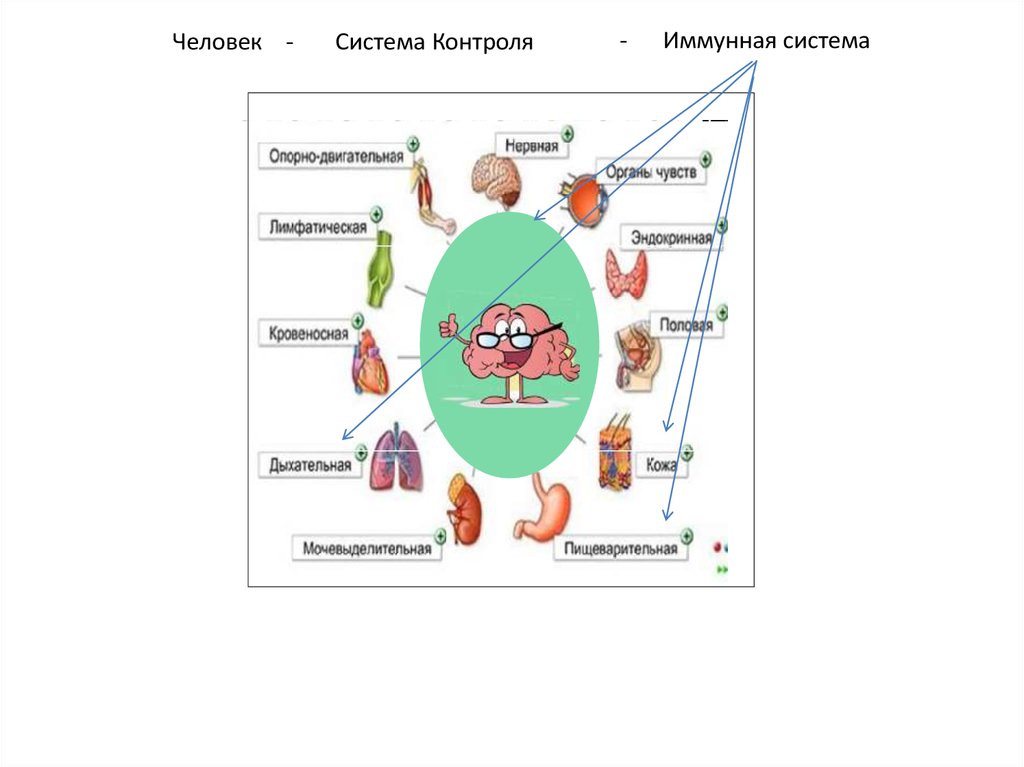 Система контроля людей. Система контроля людей