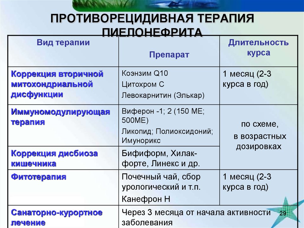 Пиелонефрит презентация лечение