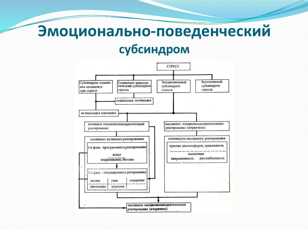 Эмоционально поведенческая. Стресс виды стресса субсиндромы стресса. Формы эмоционально-поведенческого субсиндрома. Эмоционально-поведенческий субсиндром стресса. Эмоционально-поведенческий.