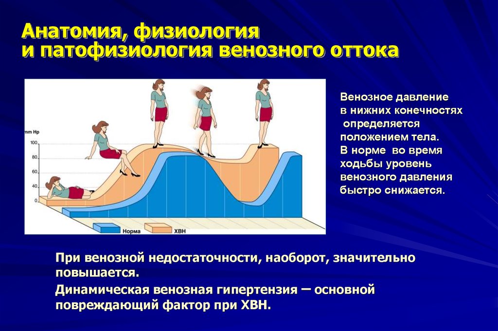 Повышается венозное давление. Отток венозной крови от нижней конечности. Патофизиология венозного оттока. Давление на нижних конечностях в норме. Венозное давление физиология.