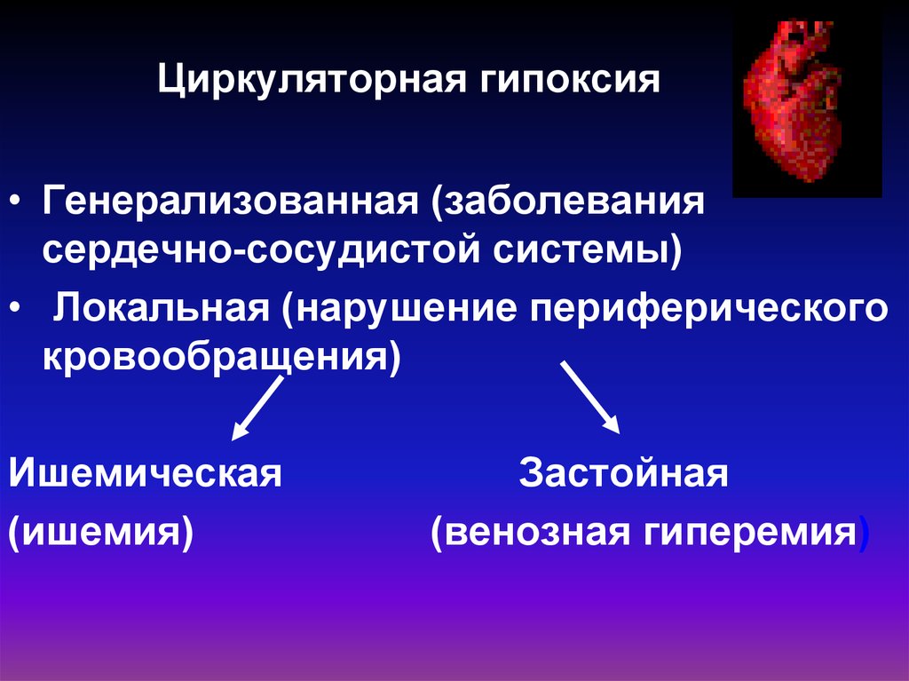 Гипоксия циркуляторного типа. Ишемическая циркуляторная гипоксия. Патогенез циркуляторной гипоксии. Циркуляторная гипоксия заболевания. Этиология циркуляторной гипоксии.