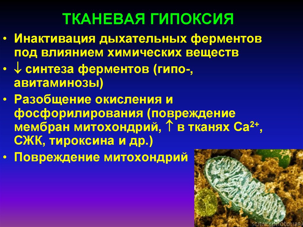 Заболевания гипоксии. Тканевая гипоксия. Тканевая (гистотоксическая) гипоксия. Тканевая гипоксия гипоксия. Признаки тканевой гипоксии.