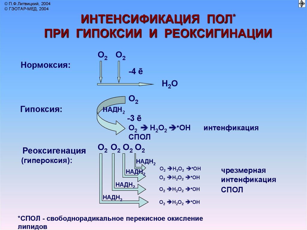 Гипероксия это