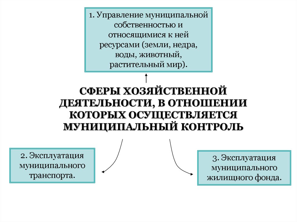 Ликвидация муниципальной собственности. Управление муниципальным имуществом и земельными ресурсами. Мониторинг муниципальной собственности. Муниципальный контроль. ФЗ-294 О защите прав юридических лиц и индивидуальных предпринимателей.