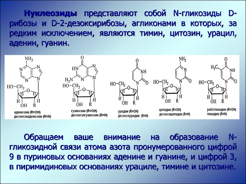 Схема образования уридина