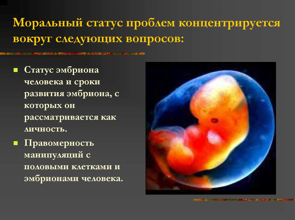 Статус проблем. Статус плода биоэтика. Моральный статус эмбриона. Статус эмбриона. Статус эмбриона человека.