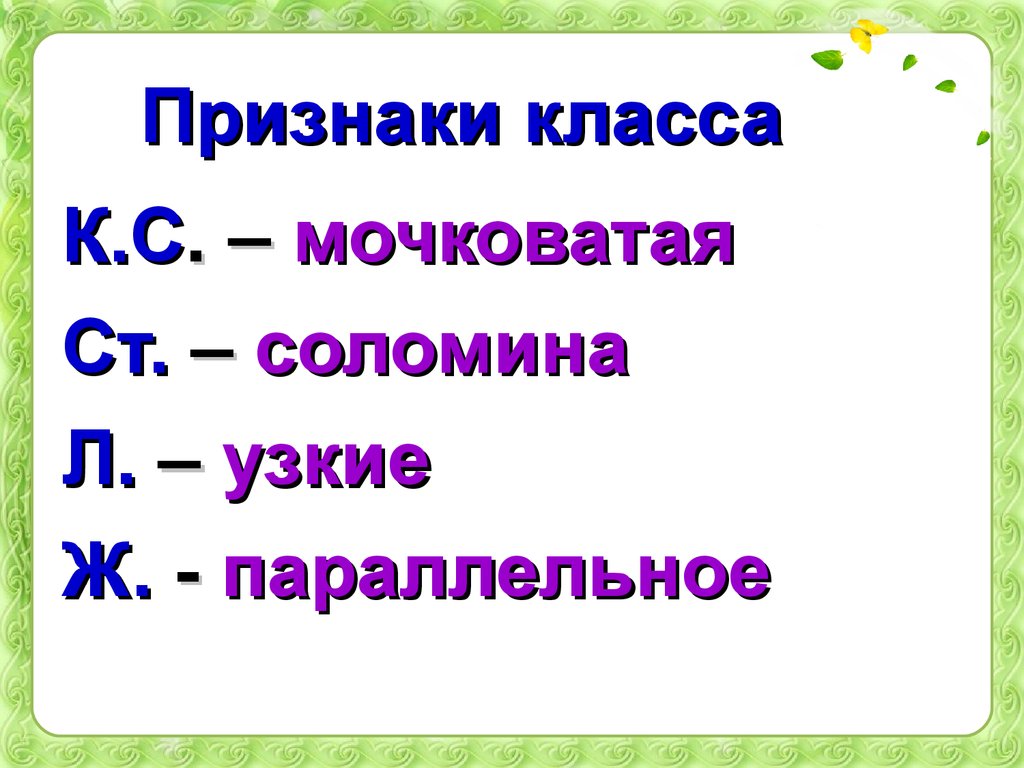 Главный признак человека 5