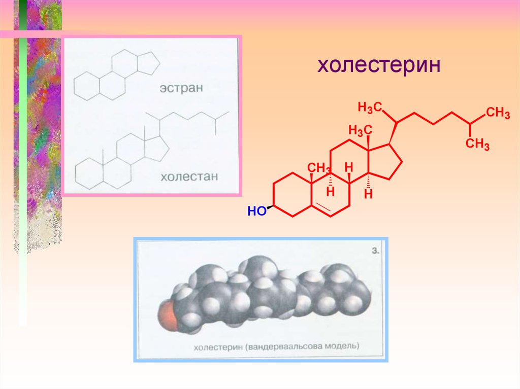 Холестан. Холестерин 10. Липиды картинки для презентации. Холестан формула. Холестан систематическое название.