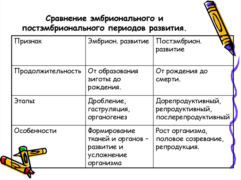 Заполните таблицу особенности развития человека в постэмбриональный. Эмбриональный и постэмбриональный период развития таблица. Эмбриональный и постэмбриональный период. Этапы эмбрионального и постэмбрионального развития. Этапы эмбрионального и постэмбрионального развития человека.