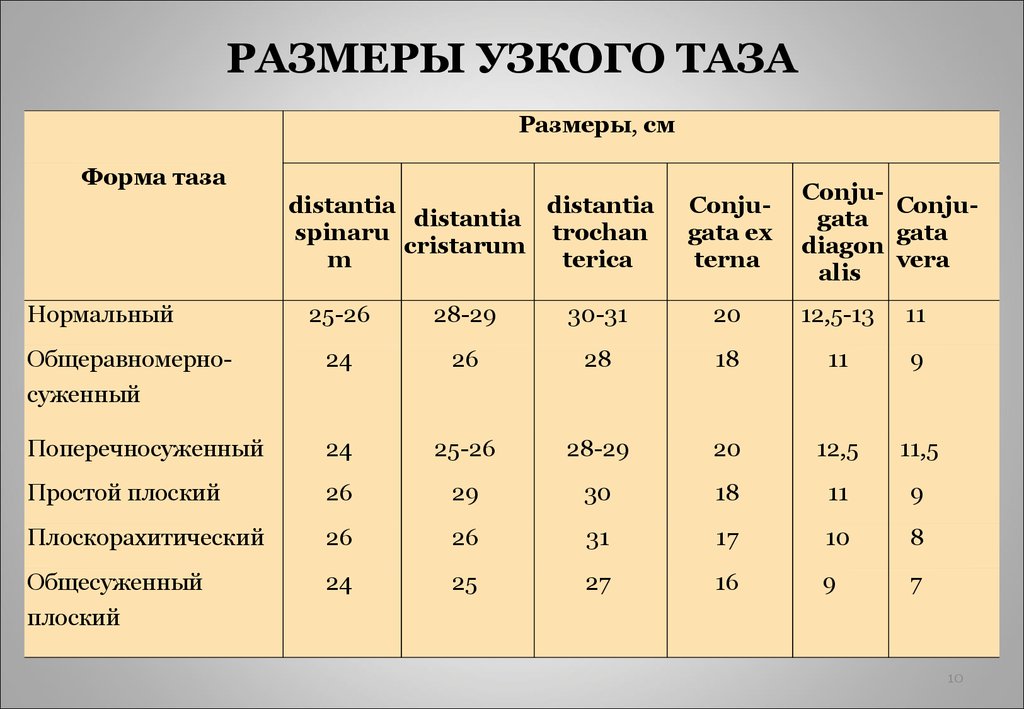 Акушерские размеры таза на рисунке