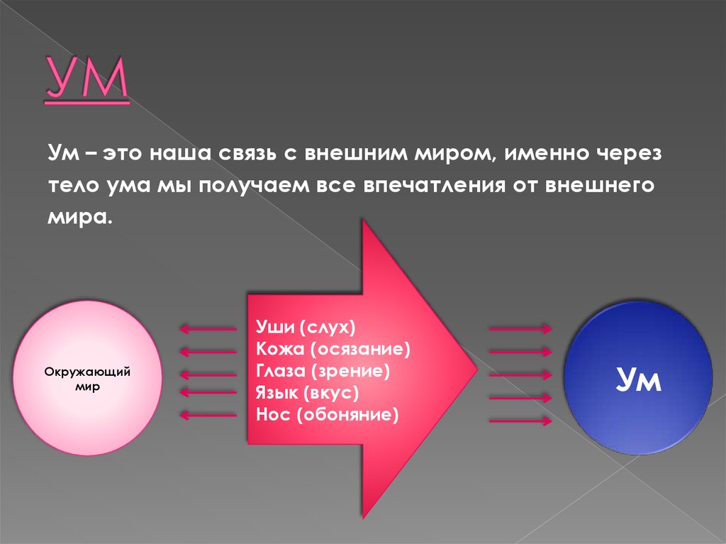 1 ум человека. Ум человека функции. Связь разума и тела. Тело и ум. Связь тела и ума.