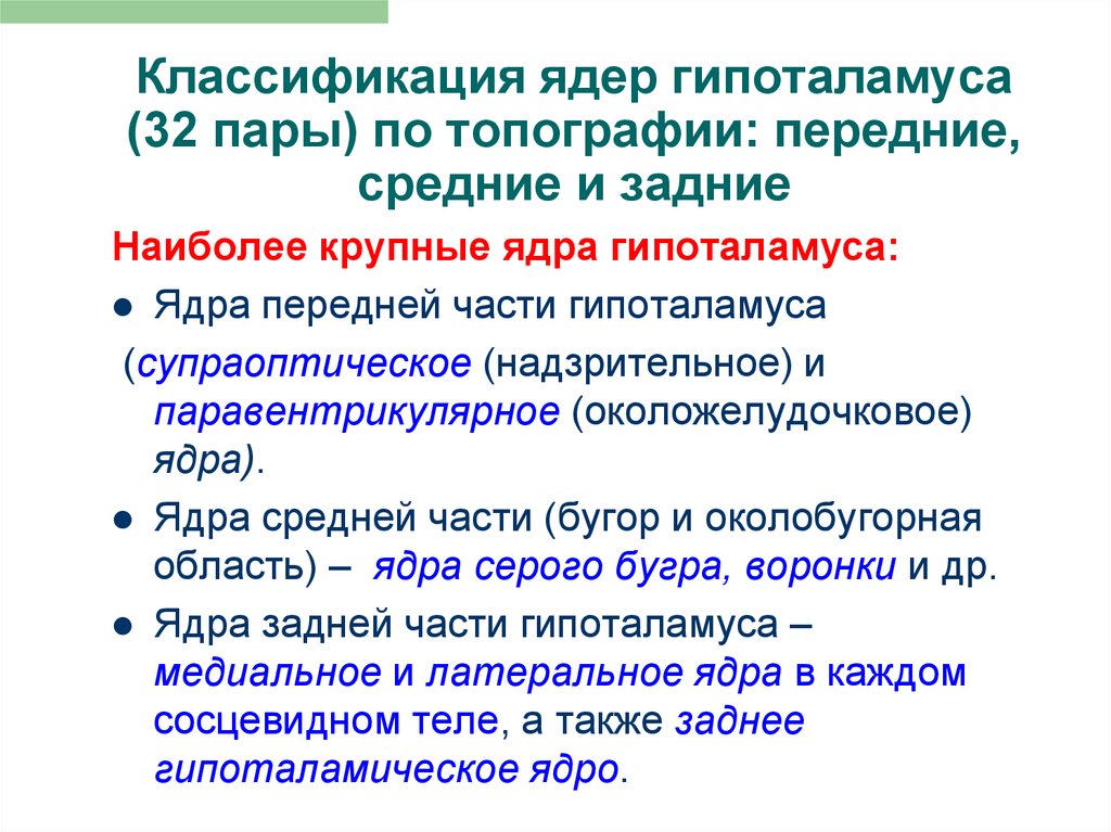 Крупные ядра. Классификация ядер гипоталамуса. Ядра гипоталамуса классификация и функции. Функциональная характеристика ядер гипоталамуса. Функциональная классификация ядер гипоталамуса физиология.