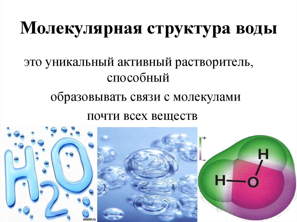 Молекулярный состав воды