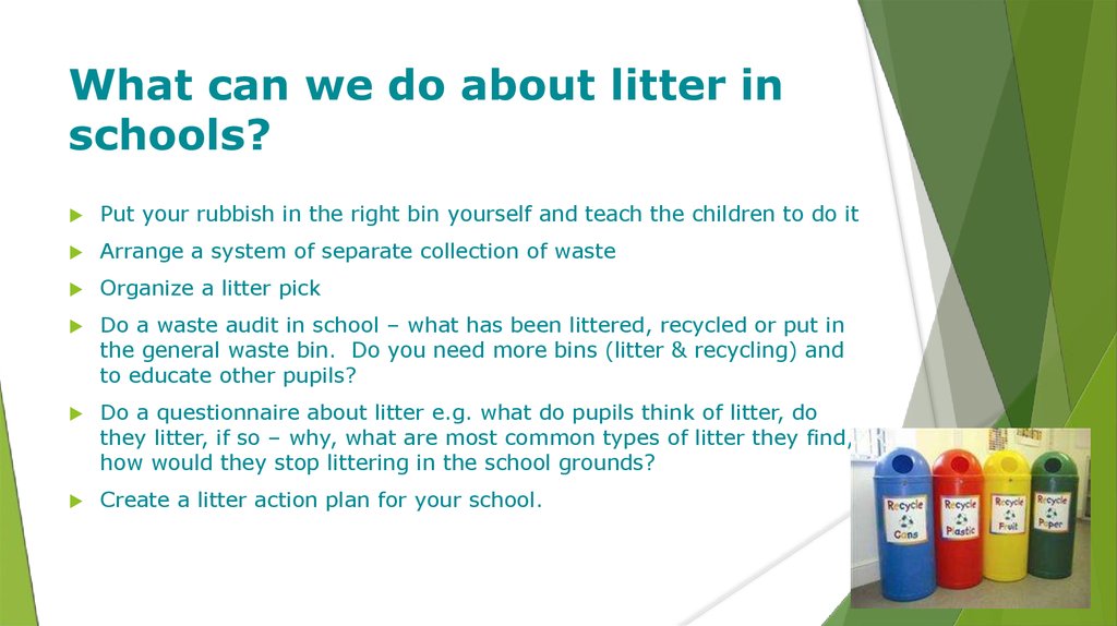 What Is Litter Online Presentation