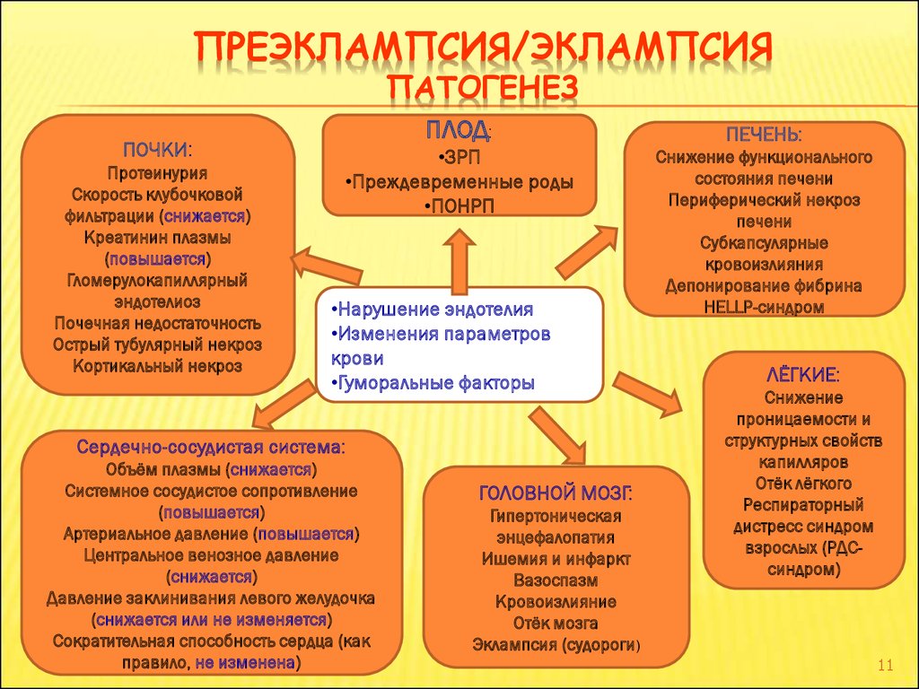 Эклампсия клиническая картина