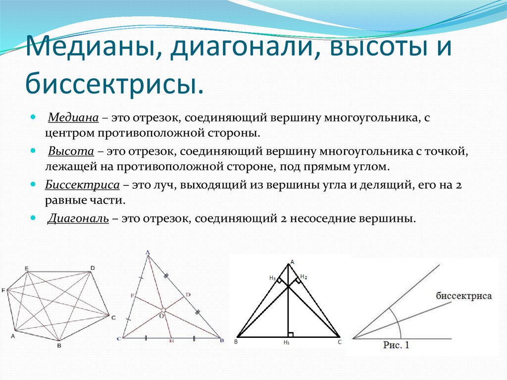 Вершины медианы биссектрисы. Биссектриса многоугольника. Высота Медиана биссект. Противоположные вершины многоугольника. Отрезок соединяющий вершины многоугольника.