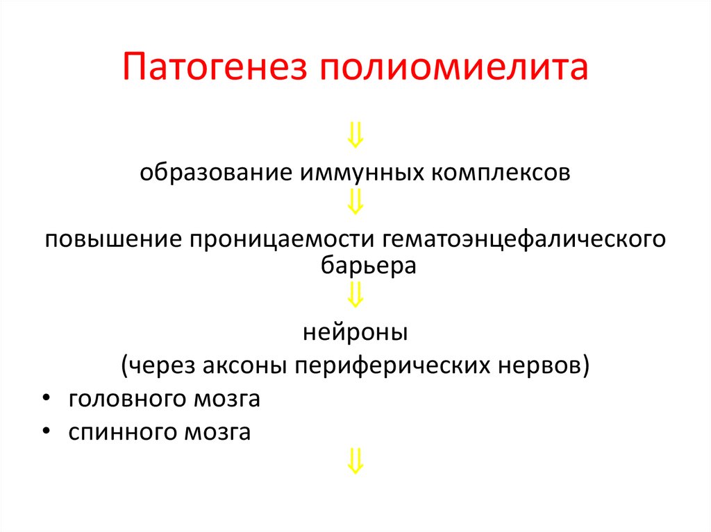 Полиомиелит патологическая анатомия презентация