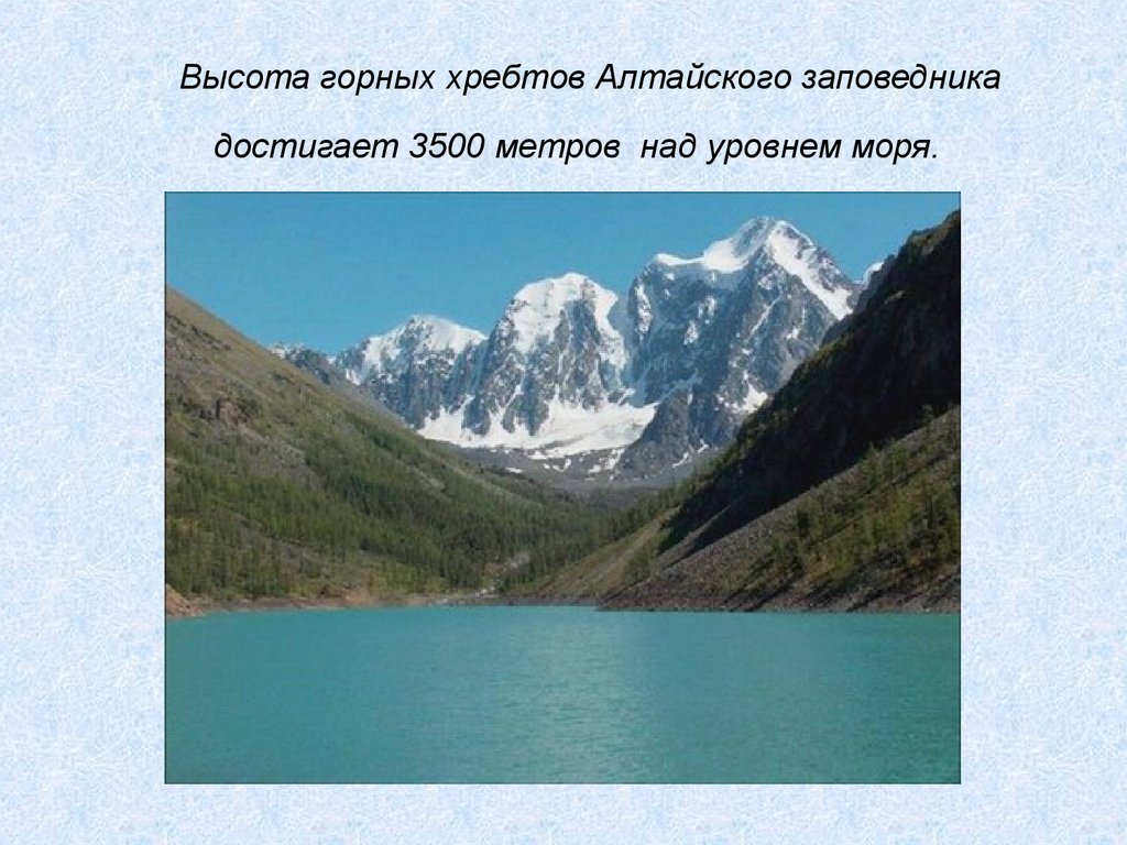 Заповедники сибири 2 класс. Горы Алтая. Алтайский заповедник. Алтайский заповедник презентация. Проект про Алтай.