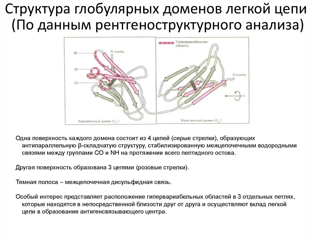 Цепь образования