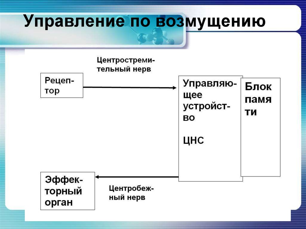 Схема управления по возмущению