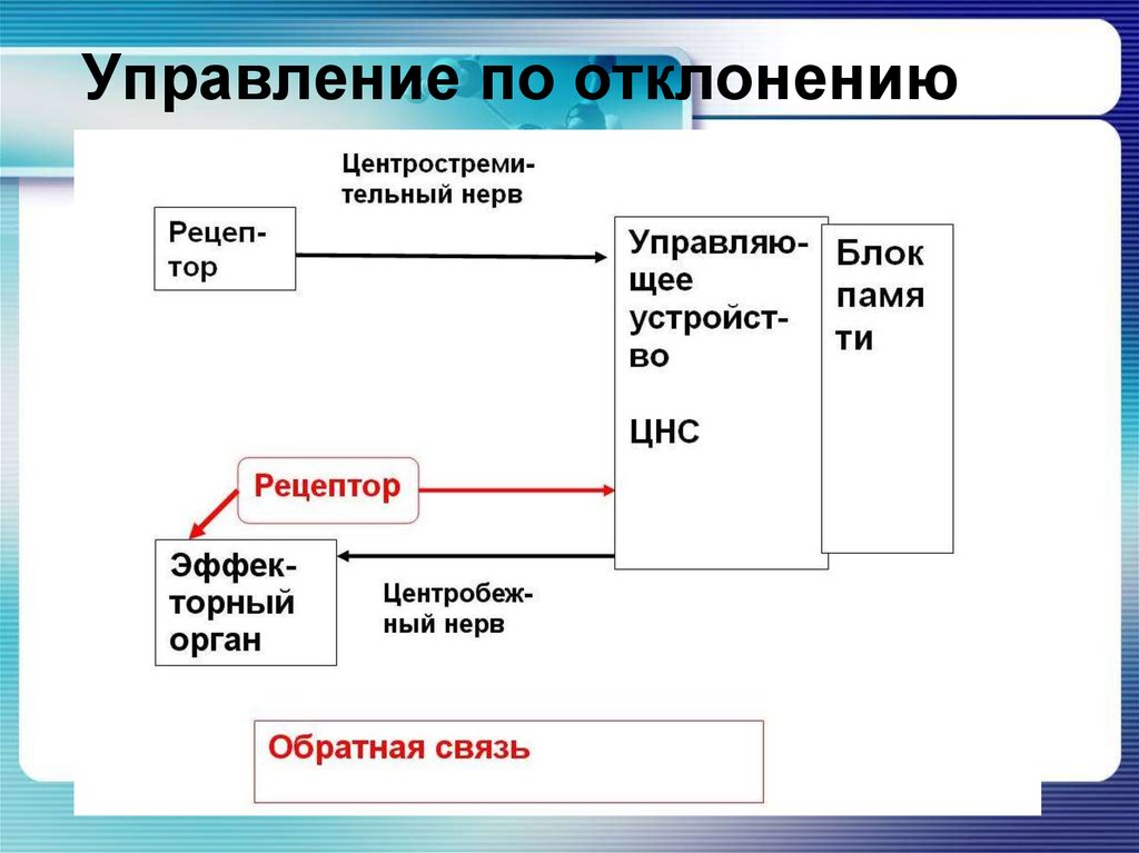 Схема управления по отклонению