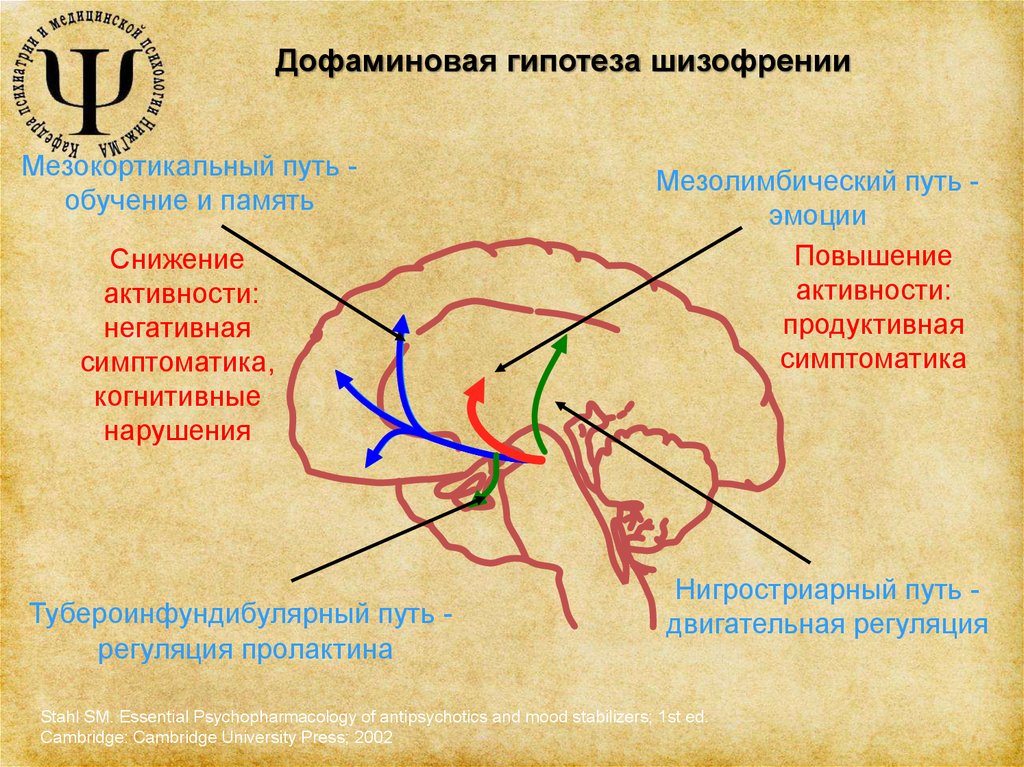 Дофаминергическая система презентация