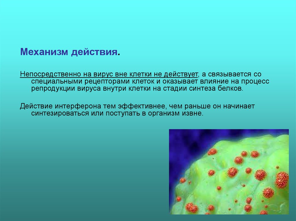 Вирус вне. Вирусы вне клетки. Механизм воздействия вируса на клетку. Механизм действия вируса в клетке. Механизм защиты клетки от вируса.