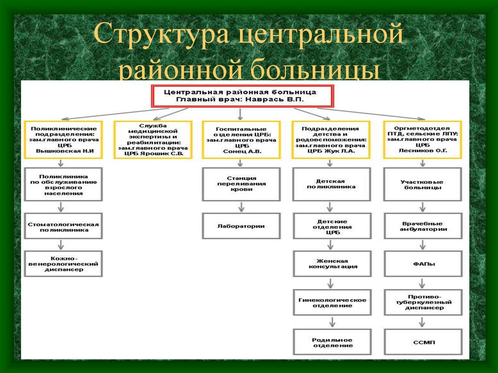 Структура больницы схема