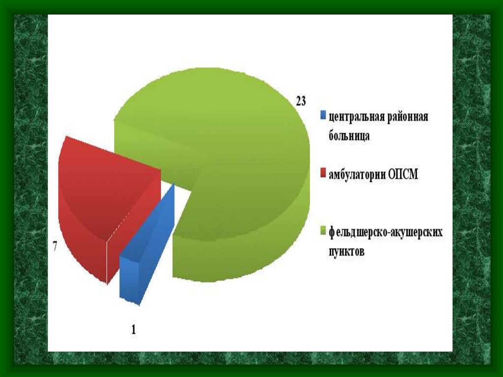 Медицинская помощь сельскому. Организация медицинской помощи сельскому учебники 2019.