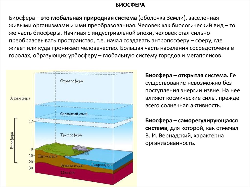 Педосфера. Свойства педосферы - презентация онлайн