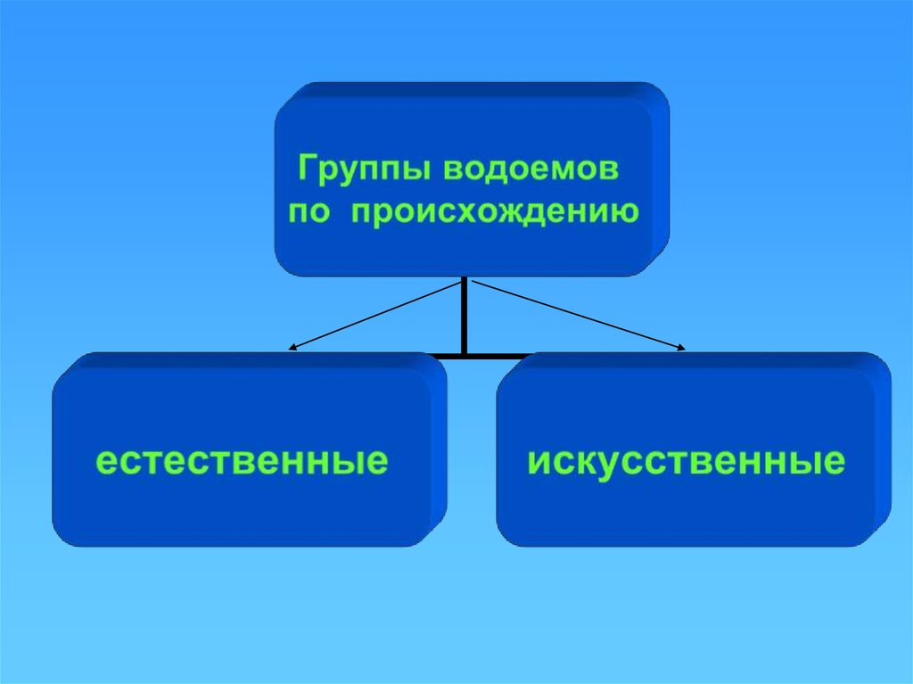 Водоемы естественные и искусственные схема