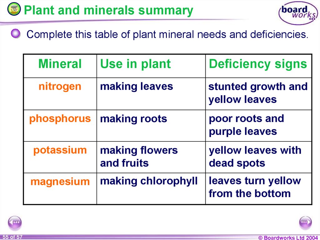 These roots перевод