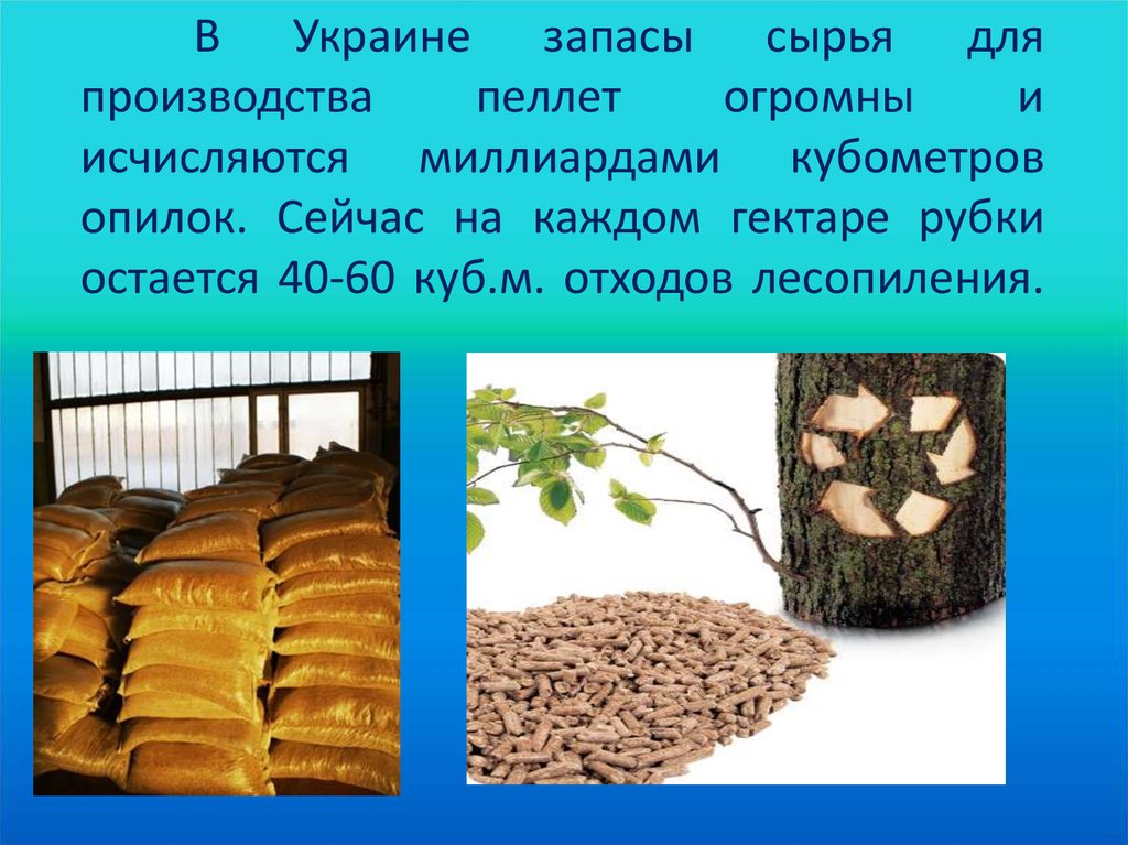 В Украине запасы сырья для производства пеллет огромны и исчисляются миллиардами кубометров опилок. Сейчас на каждом гектаре рубки остает