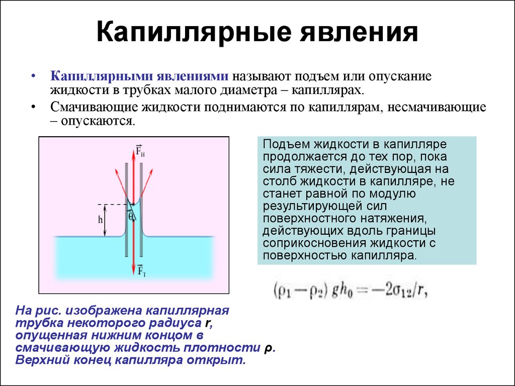 Явления жидкостей. Капиллярные трубки физика 10 класс. Поверхностное натяжение смачивание капиллярные явления. Капиллярное поднятие и опускание жидкости. Поверхностное натяжение жидкости в капиллярных трубках.