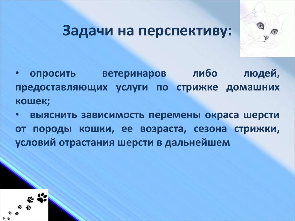 Задачи на перспективу: