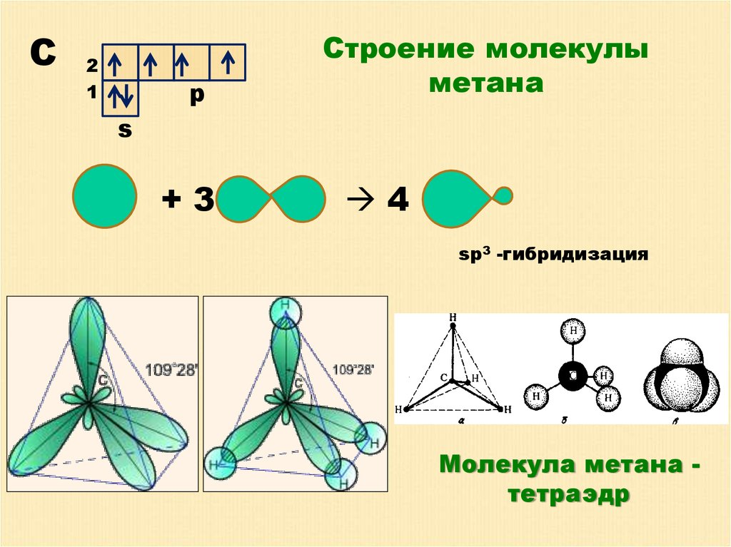Строение молекул гибридизация. Строение молекулы метана sp3 гибридизация. Sp3 гибридизация в молекуле метана. Строение молекулы метана гибридизация. Алканы sp3 гибридизация.