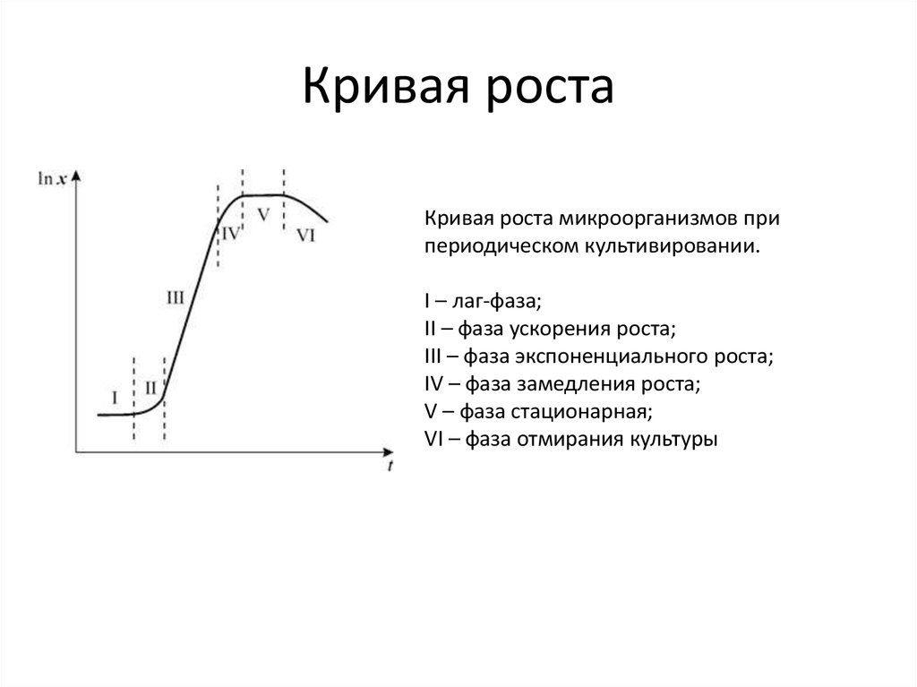 Стационарная кривая