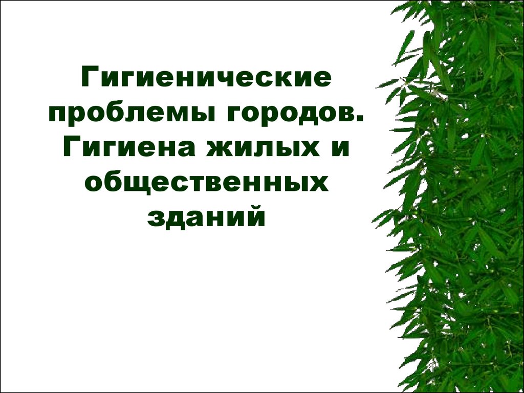 Гигиенические проблемы городов. Гигиена жилых и общественных зданий -  презентация онлайн