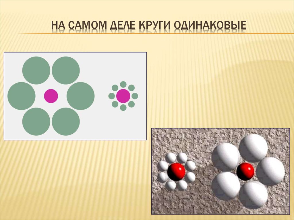 Дело круга. Одинаковые круги. Свет с одинаковой круги. Кругом одинаково. Круг дел.