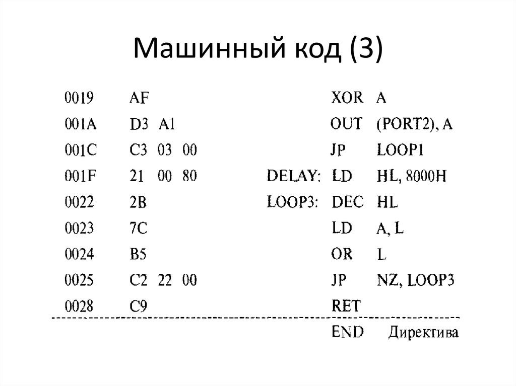 Как выглядит машинный код