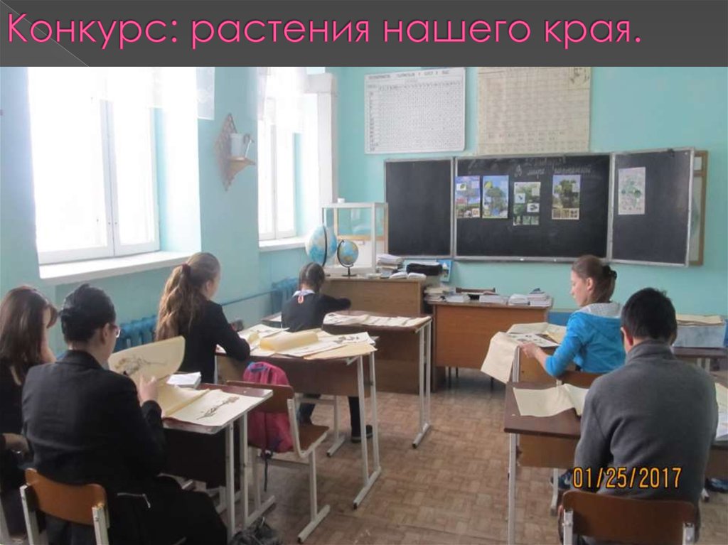 Конкурс: растения нашего края.