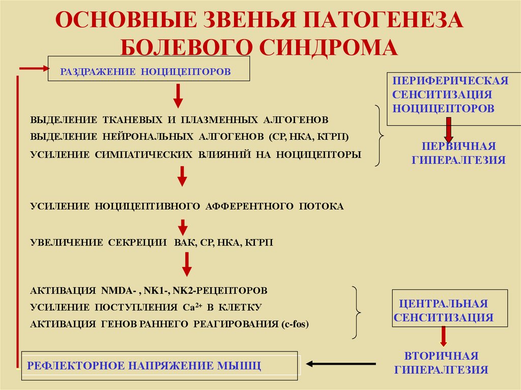 Возникновение боли. Болевой синдром механизм развития. Патогенез локализованной боли. Абдоминальный болевой синдром этиология. Патогенез патологической боли.