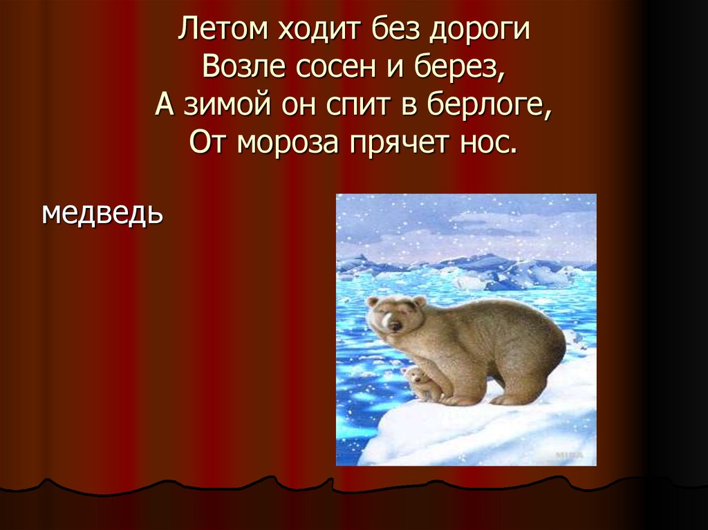 Вышел из берлоги падеж. 2 Медведя в 1 берлоге не живут слово берлоге какой падеж. Ходит без дороги возле сосен и берез кто это сказка Мамина.