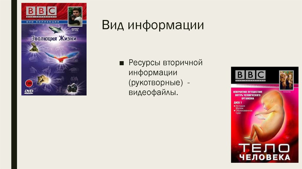 Вид информации