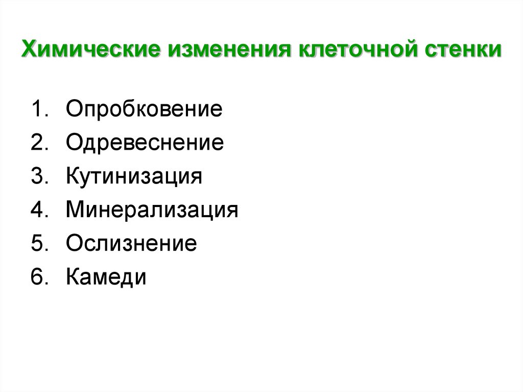 Химические изменения клеток. Химические изменения клеточной стенки. Одревеснение, опробковение, кутинизация клеточной стенки.. Кутинизация клеточной стенки. Опробковение клеточной стенки.